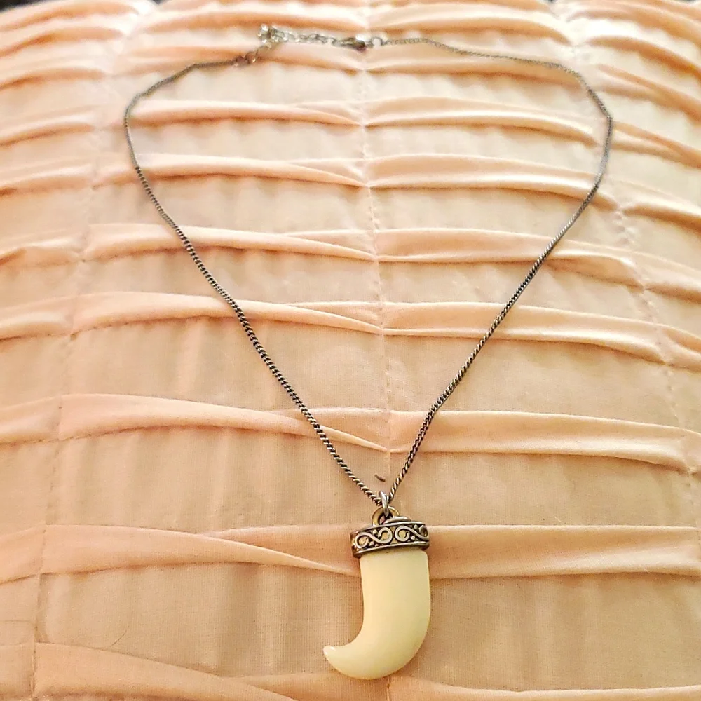 Animal Tooth Chain - Picture 4 of 5